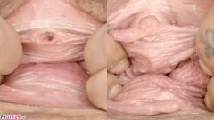 Pussy Comparison [4 agosto 2024] - screenshot from the video #6